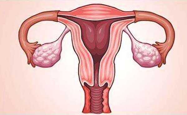性染色体异常胎停_宫颈狭窄会怀孕吗_做试管婴儿关于取精的知识点