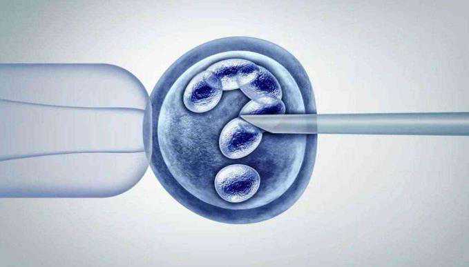 贵阳代孕中心中心 贵阳妇保院试管鲜胚移植费用明细 ‘孕囊4.2*3.9是男孩还是女